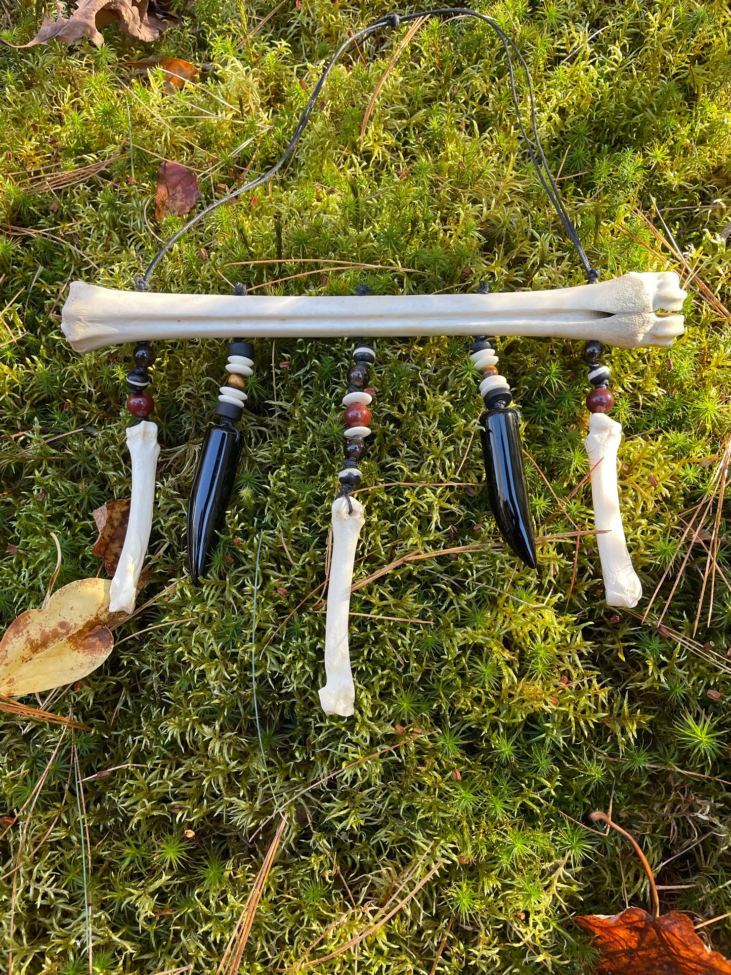 The Shield of the Ulfheðinn