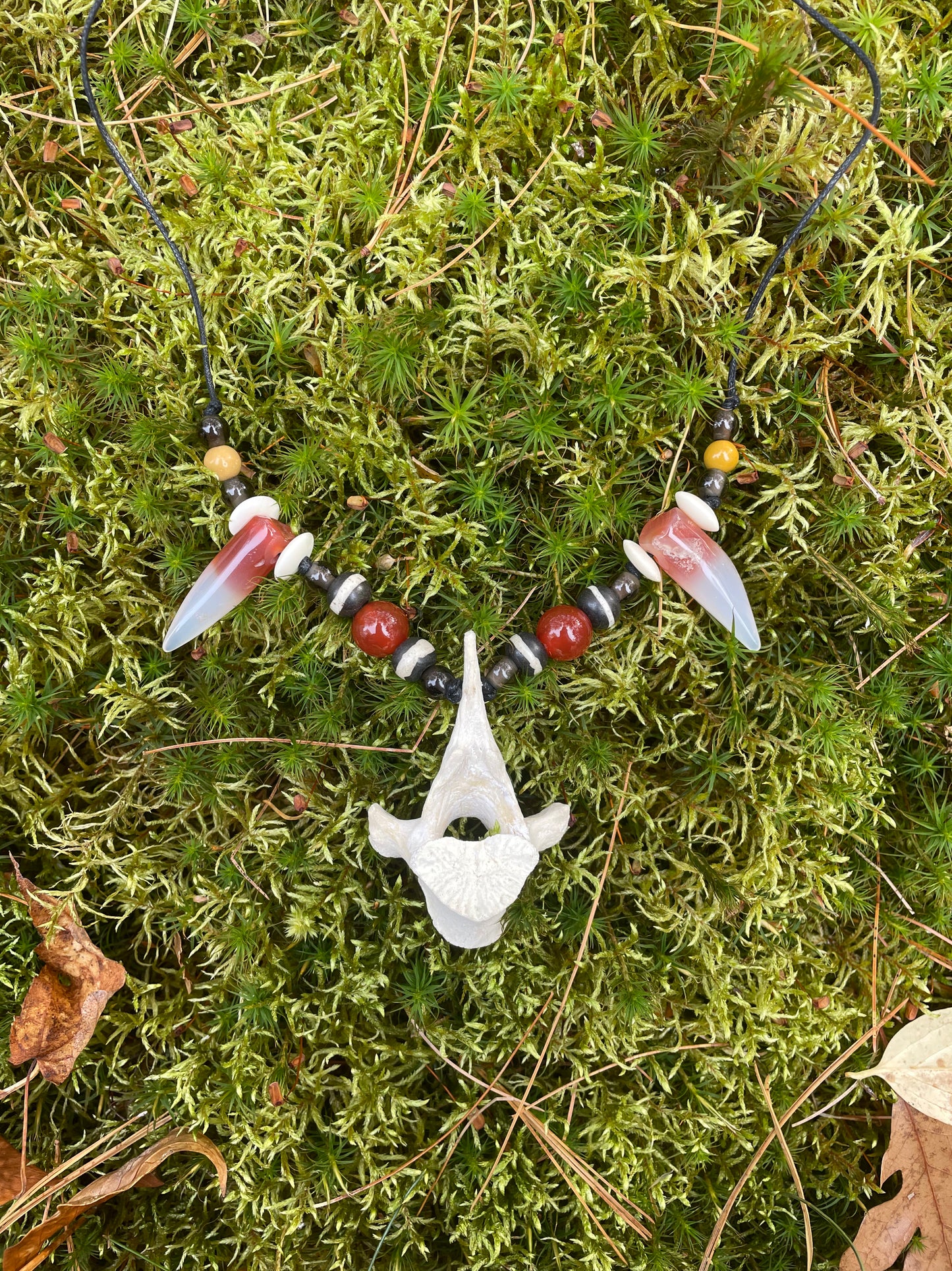 Mountain Lion Vertebrae Necklace