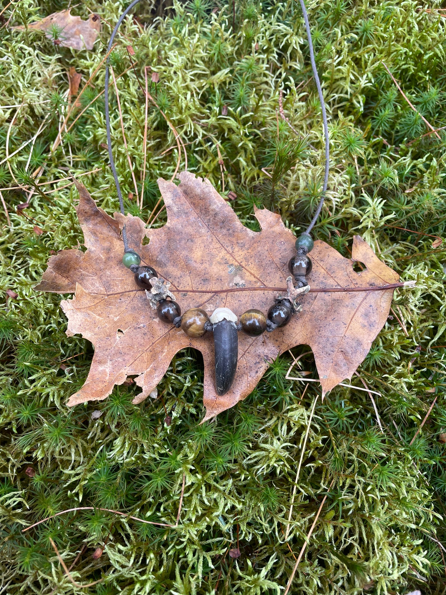 Canids and Carrion Necklace