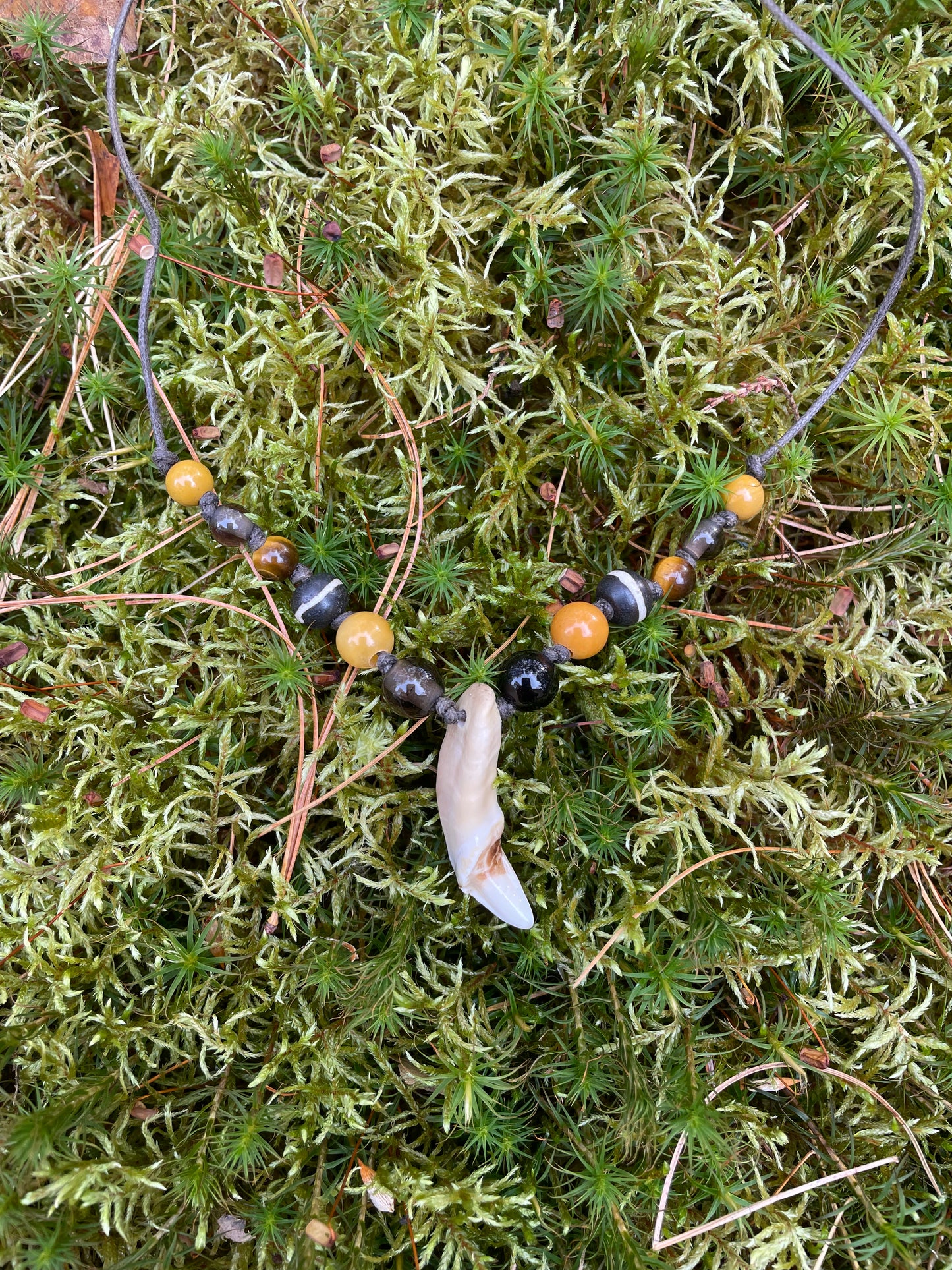 Wolf Incisor Necklace