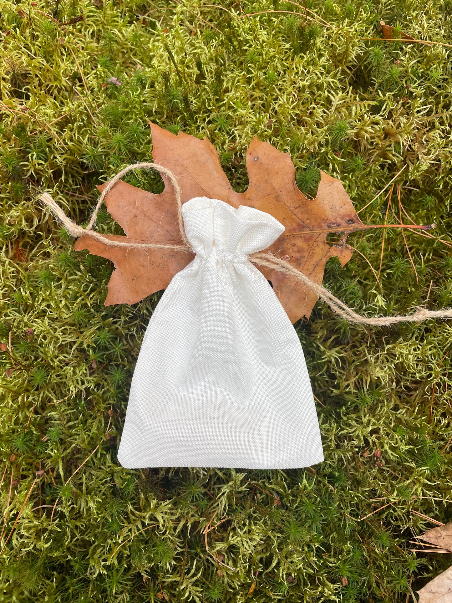 Elder Futhark Bobcat Bone Runes