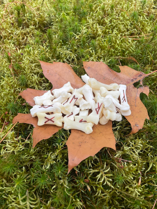 Elder Futhark Wolf Bone Runes