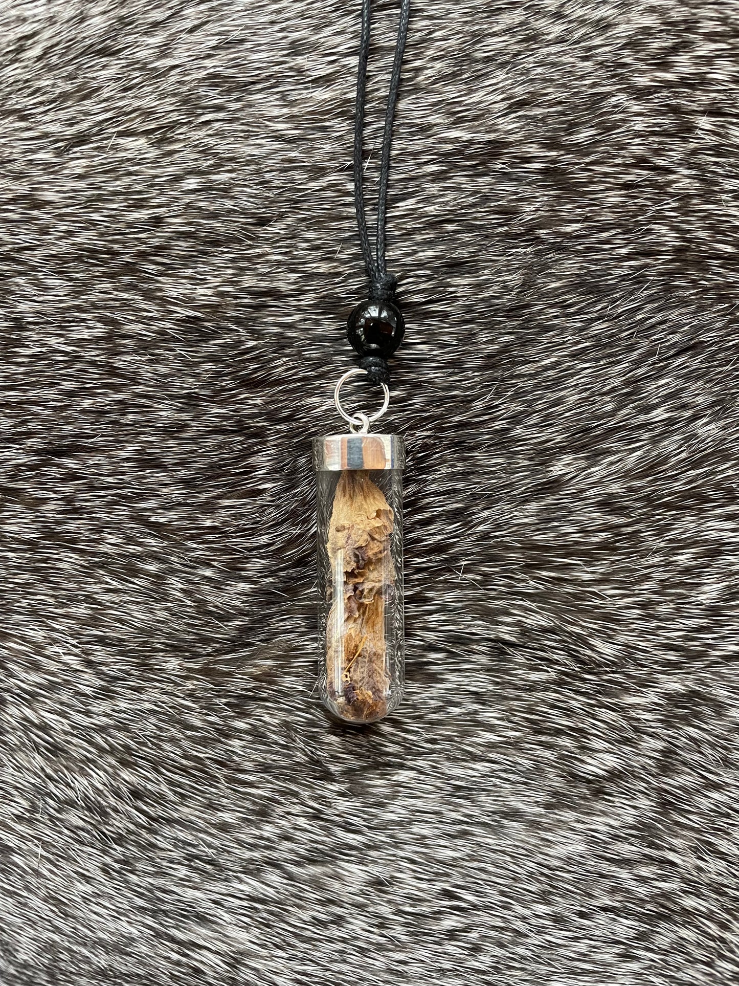 Belladonna Reliquary