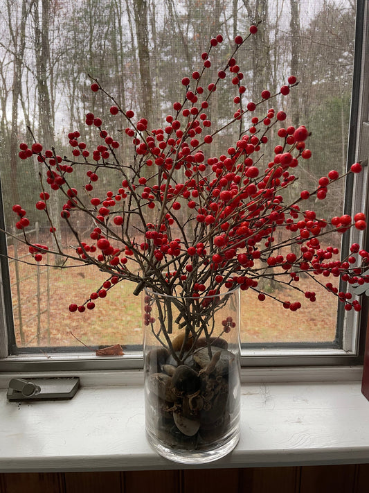 New England Folkways - Winterberry