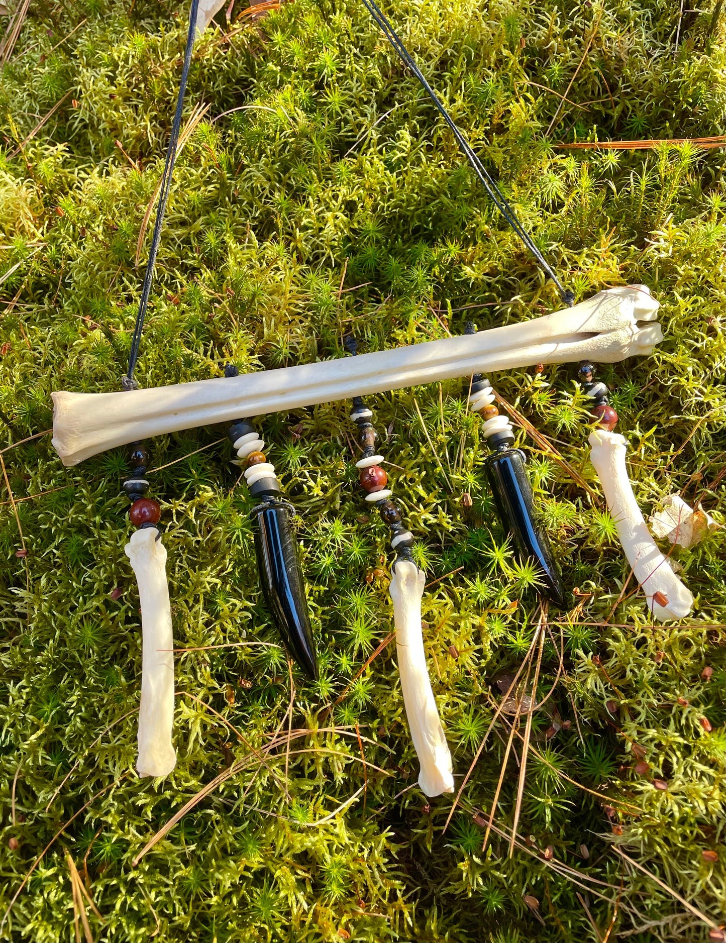 The Shield of the Ulfheðinn