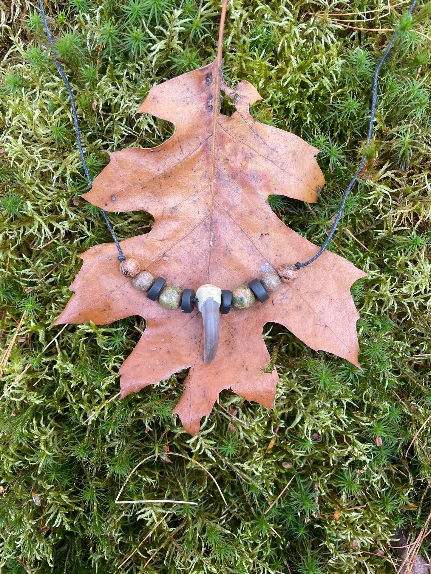 Black Bear Claw Necklace