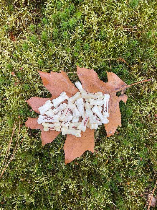 Elder Futhark Wolf Bone Runes
