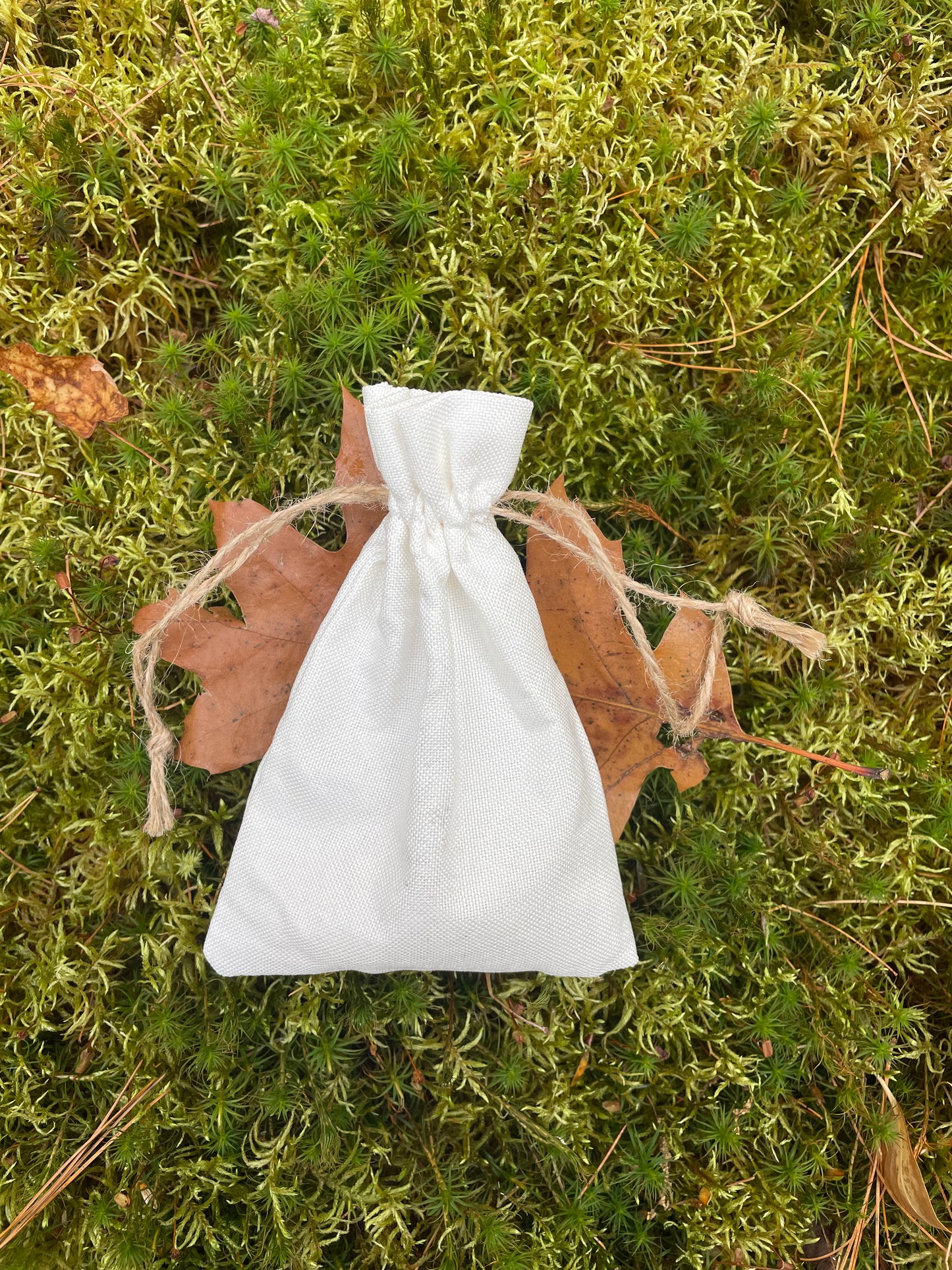 Elder Futhark Wolf Bone Runes